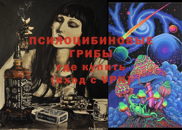 мяу мяу мука Аркадак