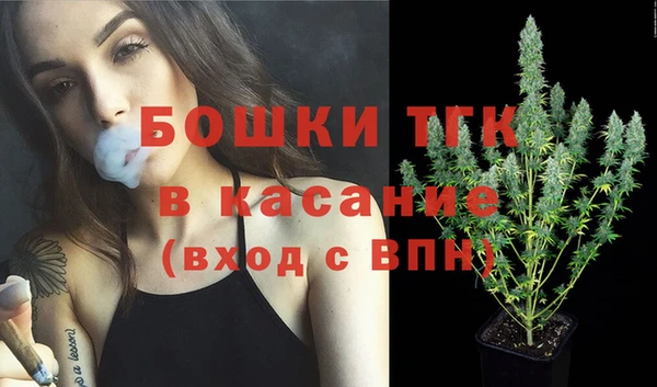 мяу мяу мука Аркадак
