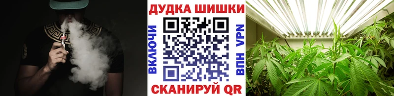 дарнет шоп  Сосновый Бор  Каннабис ГИДРОПОН 